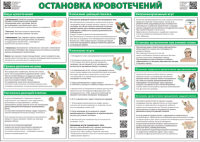 Оказание первой помощи при кровотечении Оказание первой помощи при кровотечении.