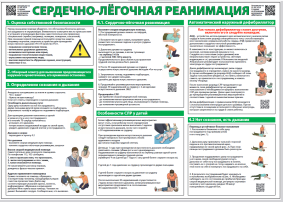 Первая помощь. Сердечно-лёгочная реанимация Первая помощь. Сердечно-лёгочная реанимация.