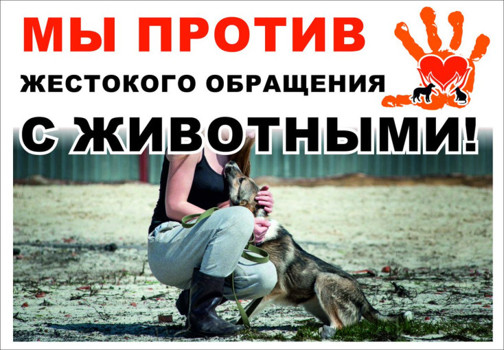 "Мы против жестокого обращения с животными" "Мы против жестокого обращения с животными".